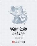 斩瞳之命运战争 斩瞳之命运战争
