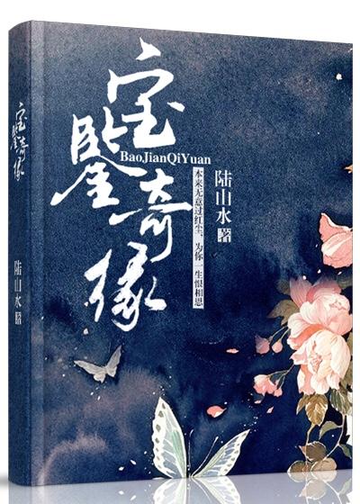 宝鉴奇缘 宝鉴奇缘