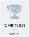 哈梅斯的救赎 哈梅斯的救赎