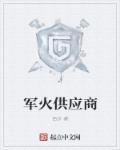 军火供应商 军火供应商