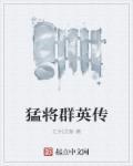 猛将群英传 猛将群英传
