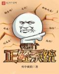 我是个正经系统 我是个正经系统