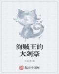 海贼王的大剑豪 海贼王的大剑豪