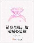错身奇缘:邂逅暖心总裁 错身奇缘:邂逅暖心总裁