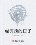 当佣兵的那几年 当佣兵的那几年