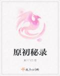 原初秘录 原初秘录