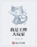 我是王牌大玩家 我是王牌大玩家