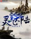 网游之灵气大陆 网游之灵气大陆