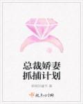 总裁娇妻抓捕计划 总裁娇妻抓捕计划