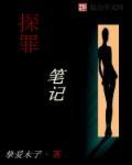 探罪笔记 探罪笔记