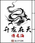 升龙在天 升龙在天