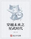 穿越未来之星武时代 穿越未来之星武时代