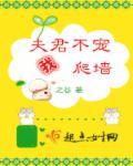 夫君不宠我爬墙 夫君不宠我爬墙