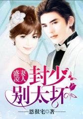 盛妻凌人:封少,别太坏! 盛妻凌人:封少,别太坏!