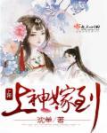 上神嫁到 上神嫁到
