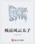 极品风云太子 极品风云太子