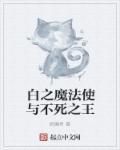 白之魔法使与不死之王 白之魔法使与不死之王