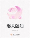 娶夫随妇 娶夫随妇