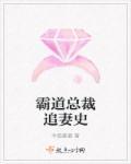 霸道总裁追妻史 霸道总裁追妻史