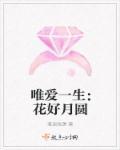 傲娇男神的告白计划 傲娇男神的告白计划