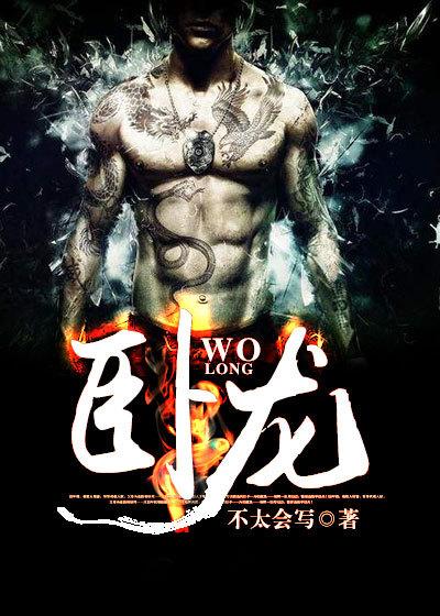 卧龙 卧龙