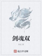 剑魂双 剑魂双
