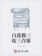 白莲教三攻三合寨 白莲教三攻三合寨