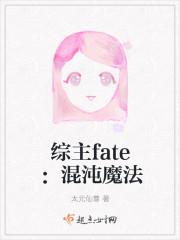 综主fate:混沌魔法 综主fate:混沌魔法