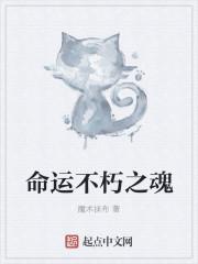 命运不朽之魂 命运不朽之魂