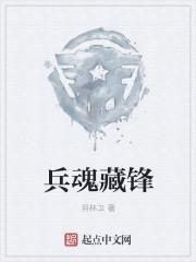 兵魂藏锋 兵魂藏锋