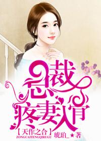 天作之合,总裁疼妻入骨 天作之合,总裁疼妻入骨