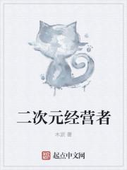 二次元经营者 二次元经营者