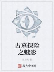 古墓探险之魅影 古墓探险之魅影