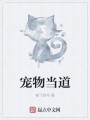 宠物当道 宠物当道