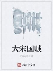 大宋国贼 大宋国贼