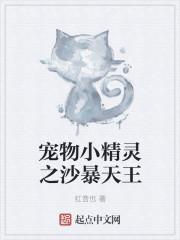 宠物小精灵之沙暴天王 宠物小精灵之沙暴天王