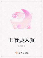王爷要入赘 王爷要入赘