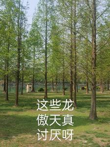 这些龙傲天真讨厌呀 这些龙傲天真讨厌呀
