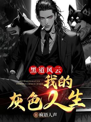 黑道风云之我的灰色人生 黑道风云之我的灰色人生