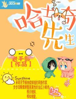哈士奇先生 哈士奇先生