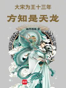 大宋为王十三年,方知是天龙 大宋为王十三年,方知是天龙