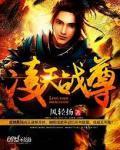 凌天战尊 凌天战尊