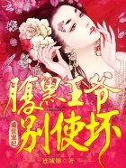 盛世宠妃:腹黑王爷,别使坏 盛世宠妃:腹黑王爷,别使坏