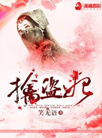 擒盗妃 擒盗妃
