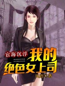 宦海沉浮:我的绝色女上司 宦海沉浮:我的绝色女上司