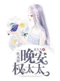 一纸成婚:晚安,权太太 一纸成婚:晚安,权太太