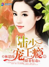 娇妻有毒:陆少,宠上瘾 娇妻有毒:陆少,宠上瘾
