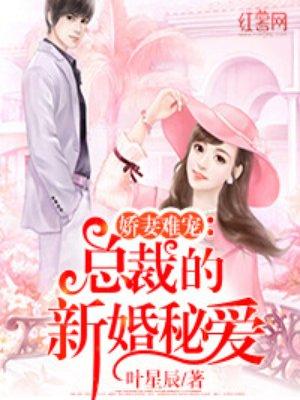 总裁的新婚秘爱 总裁的新婚秘爱