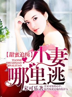 甜蜜追缉:小妻哪里逃 甜蜜追缉:小妻哪里逃