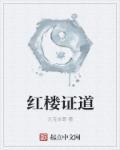 红楼证道 红楼证道